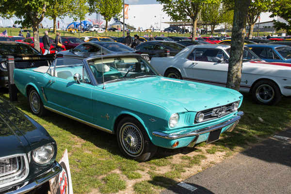 L’attrait des premières Mustang doit quelque chose à sa gamme de coloris particulièrement variée et chatoyante comme ce spectaculaire turquoise