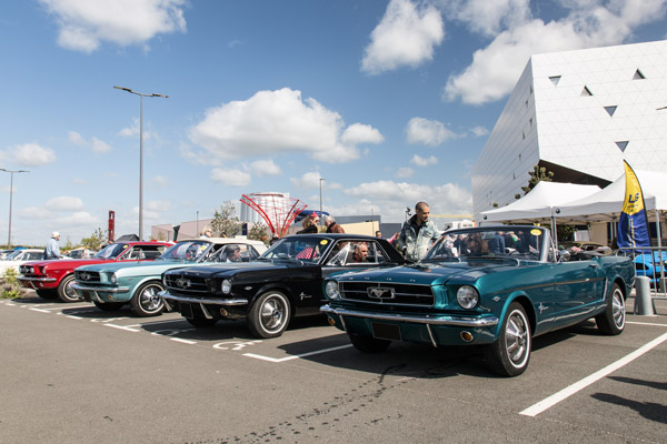 Le Mustang Club de France avait aligné sur l’un des parkings du Futuroscope les modèles par année : ici des exemplaires de 1964 et 1965